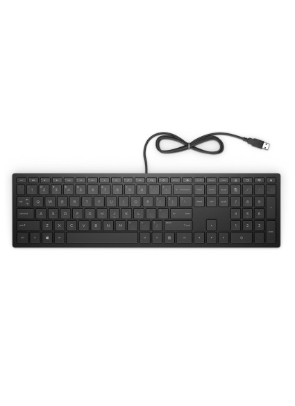 HP Pavilion Wired Keyboard 300 Greek (4CE96AA) (HP4CE96AA)