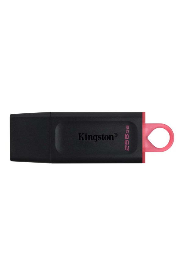 Kingston DataTraveler Exodia 256GB USB 3.2 Gen 1 (DTX/256GB) (KINDTX/256GB)