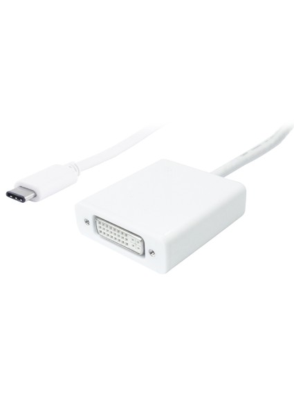 POWERTECH αντάπτορας USB Type-C σε DVI PTH-036, 4K, λευκό